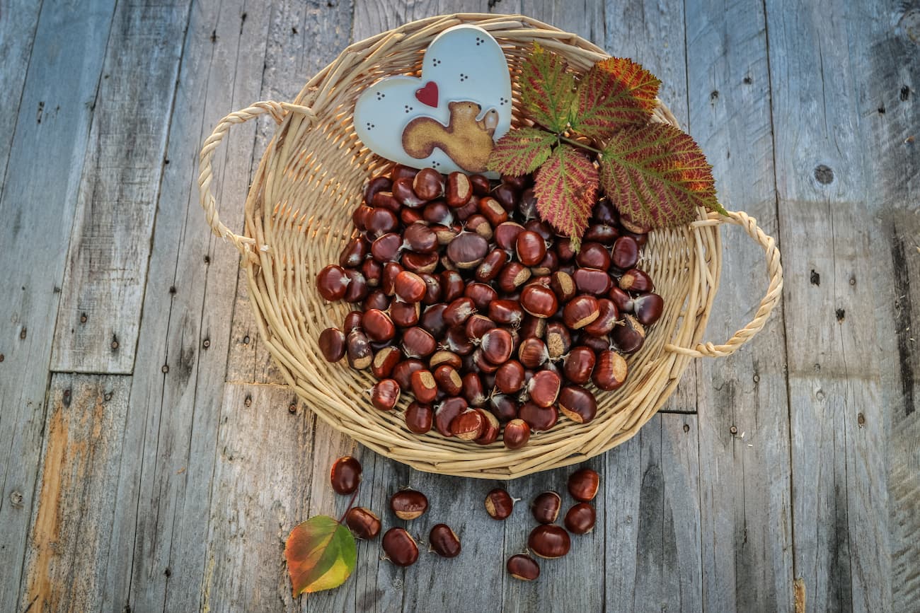 Castagne Frutto D Autunno Benefici Valori Nutrizionali E Usi Wise