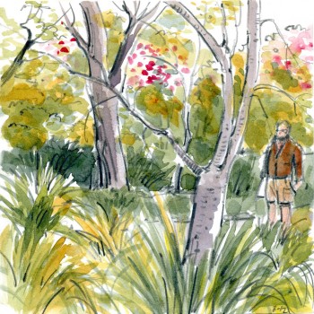 Garden "pencil and watercolor", album di VHein/flickr