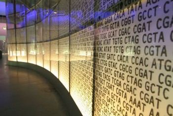 La rappresentazione del DNA al Science Museum di Londra, Foto John Goode 