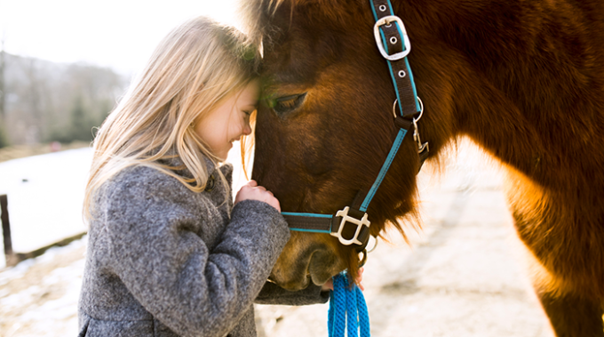 pet therapy, linee guida, iaa, taa