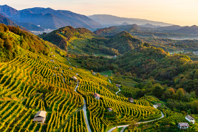 innocente, nardi, conegliano, valdobbiadene, prosecco, sostenibilita