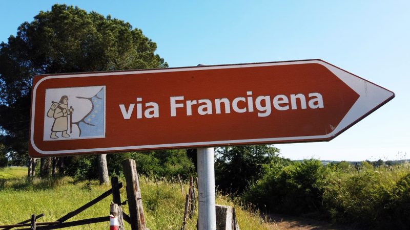 Guida alla via Francigena in bicicletta Oltre 1000 chilometri dalle Alpi a Roma 