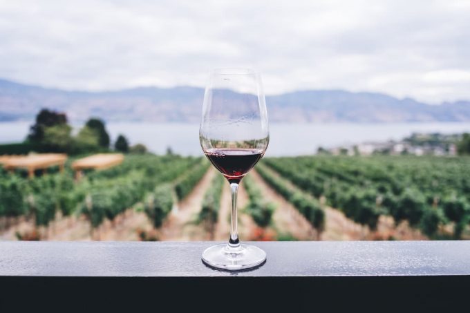 Bicchiere di vino con vista sul vigneto