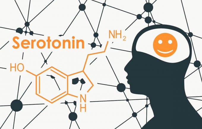 Serotonina: un'illustrazione