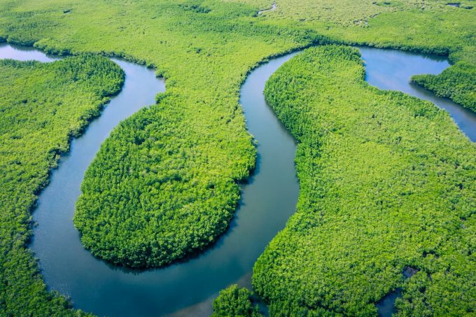 Veduta aerea della foresta pluviale in amazzonia