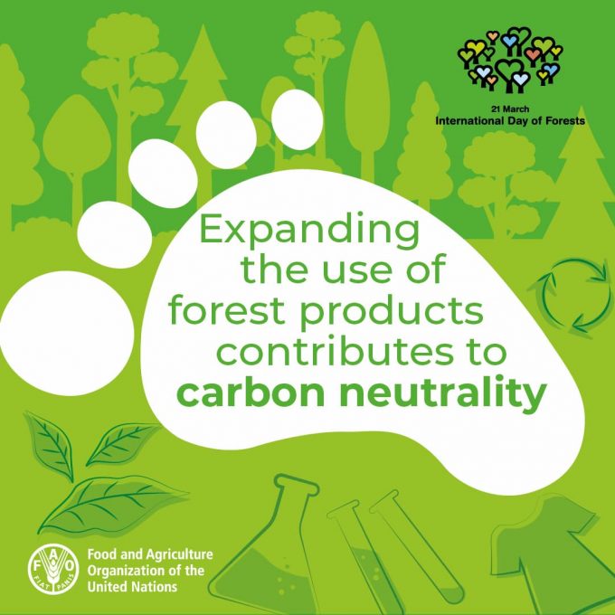 Giornata internazionale delle Foreste: infografica della FAO