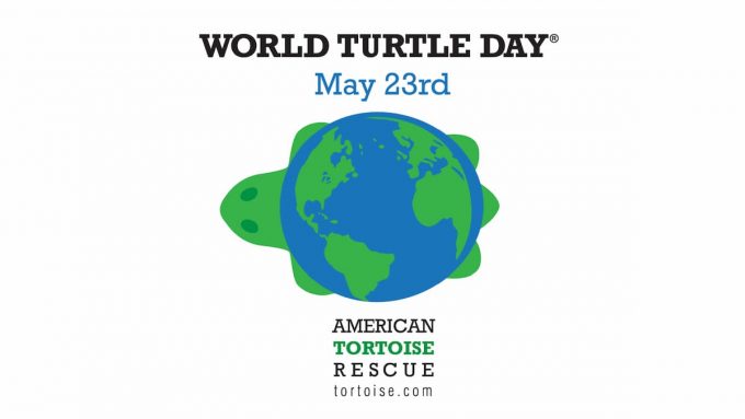 Illustrazione sulla giornata mondiale delle tartarughe