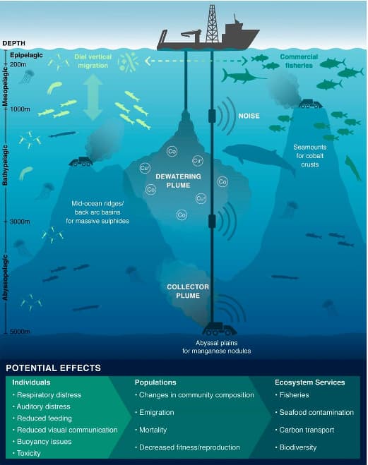 Deep sea mining: infografica