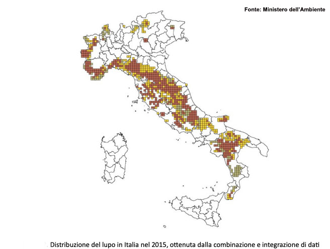 Grafico sulla distribuzione del lupo in Italia