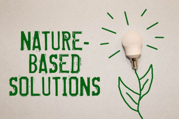 Nature-based solution: concept