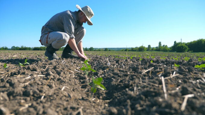 Agricoltore