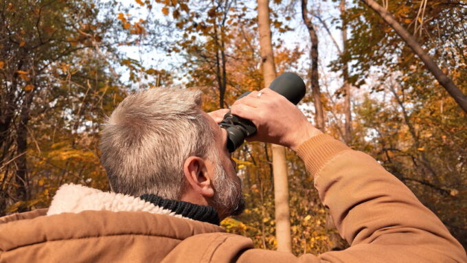 Birdwatcher