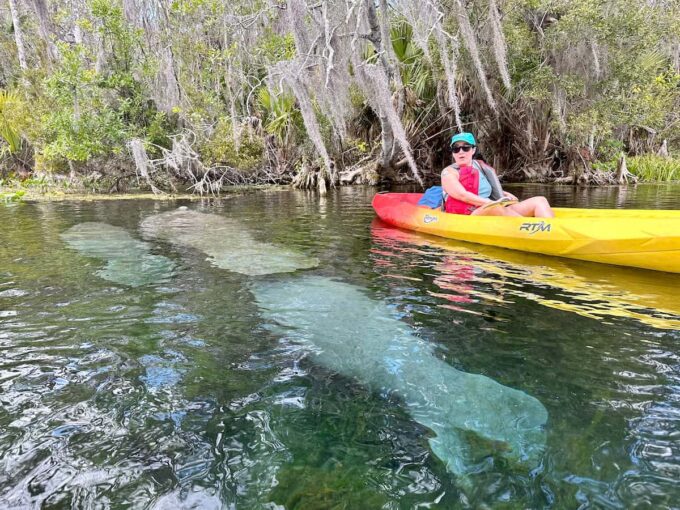 Lamantini e kayak